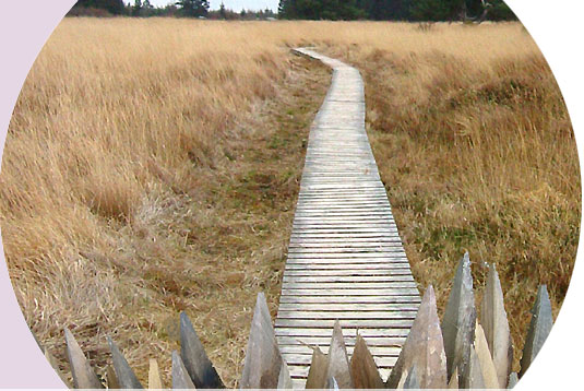 Ein Steg hinter einer Palisade.